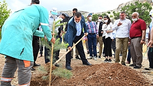 Babalar Günü hatıra ormanında fidanlar toprakla buluştu